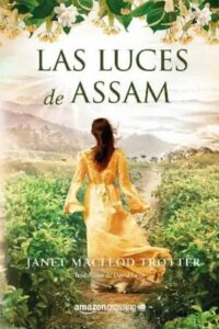 las luces de assam aromas de te 1